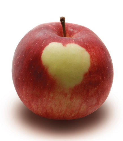 Reduce Allergies & Find Happiness!