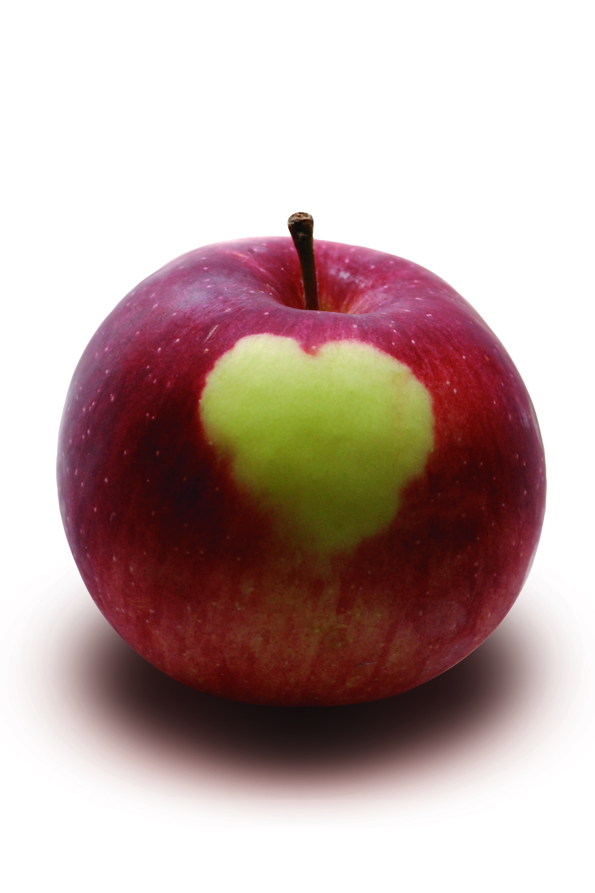 Reduce Allergies & Find Happiness!