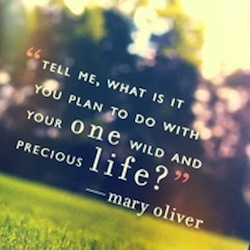 Mary-Oliver-quote1