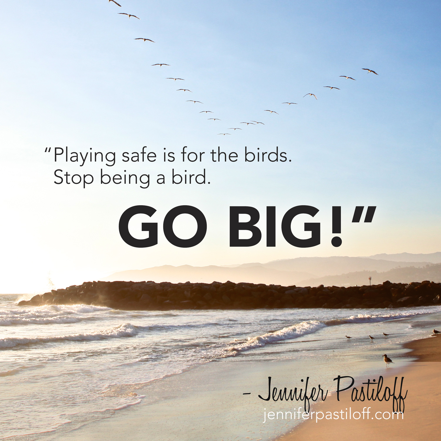 Playing Safe Is for the Birds.