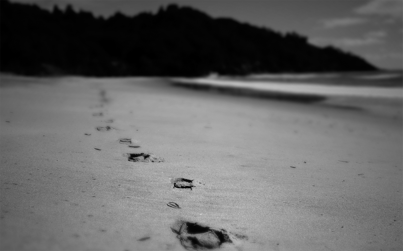 2317286501_c0284c6c31_o