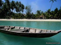 The calming effect of the ocean