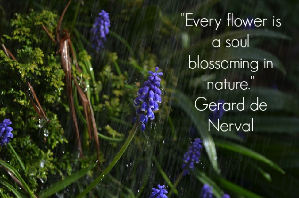 Pulling Weeds and Pruning My Spirit