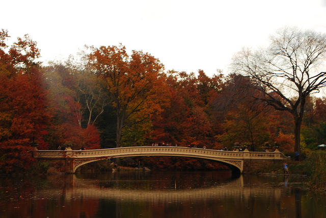 How_to_keep_a_great_day_going