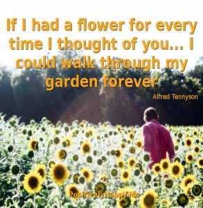 man among sunflowers