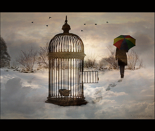 3063566547_2a11aa6178_z