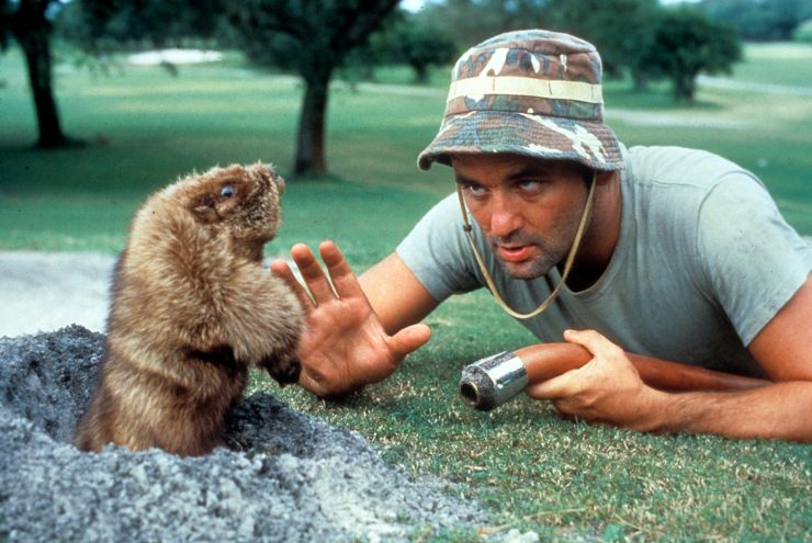 o-BILL-MURRAY-QUOTES-GOPHER-CADDYSHACK-facebook-e1476728210547