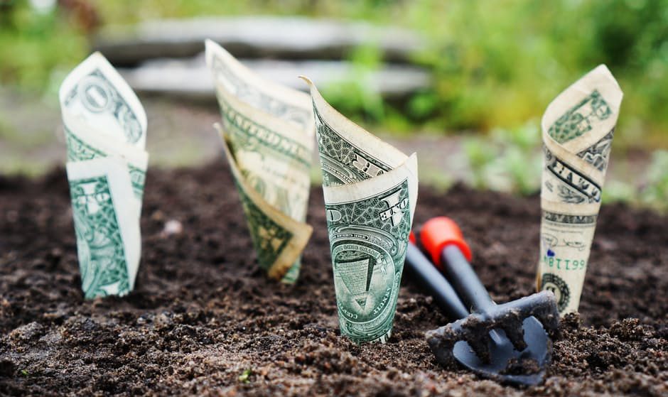 pexels-photo-164474-e1486586827245