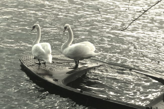 When We Need Closeness, but from a Safe Distance.